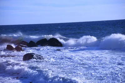 DSC_0589 (Large).JPG